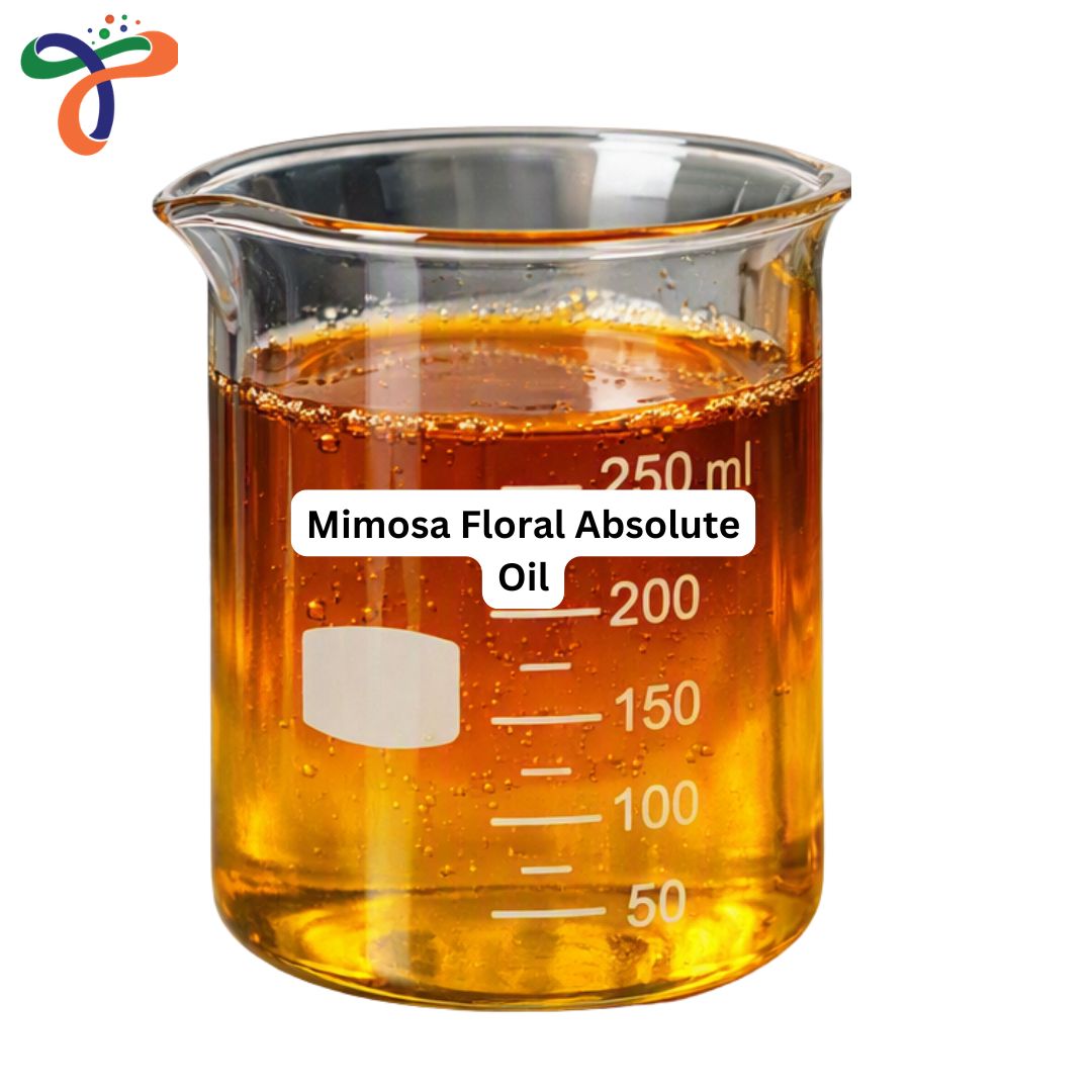 Mimosa Floral Absolute Oil